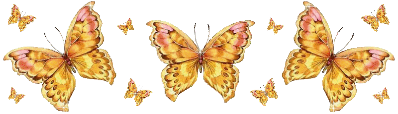 Gifs+Animados+Mariposas+11.gif