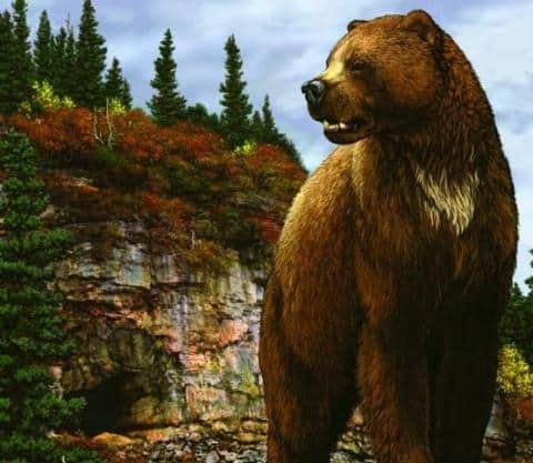 Gigante Oso de Cara Corta | Dinosaurios