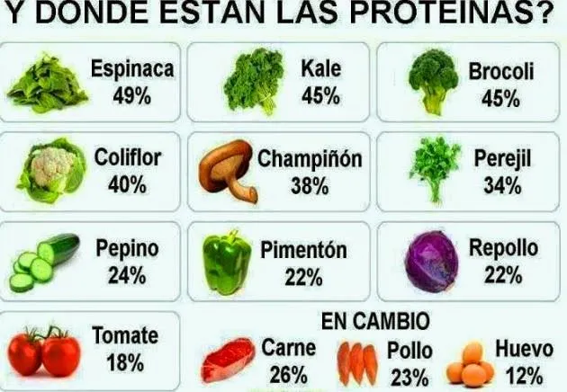 Giselle Ojeda Ⓥ GeoRun&fitness: ¿Que funciones cumplen los ... Giselle Ojeda Ⓥ GeoRun&fitness: ¿Que funciones cumplen los ...