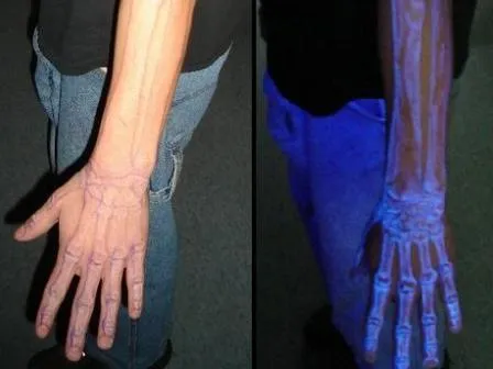 GL-Vino Nuevo Nicaragua