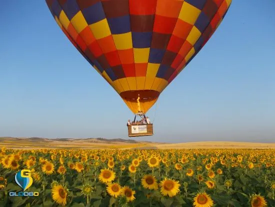 El globo sobrevolando los campos de girasoles de Sevilla ...