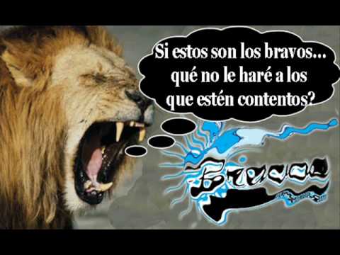 GLORIOSOS LEONES DEL CARACAS - YouTube