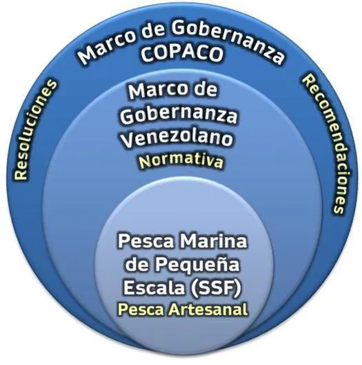 GOBERNABILIDAD EN LAS PESQUERÍAS MARINAS DE PEQUEÑA ESCALA DE VENEZUELA EN EL CONTEXTO REGIONAL - Issuu GOBERNABILIDAD EN LAS PESQUERÍAS MARINAS DE PEQUEÑA ESCALA DE VENEZUELA EN EL CONTEXTO REGIONAL - Issuu