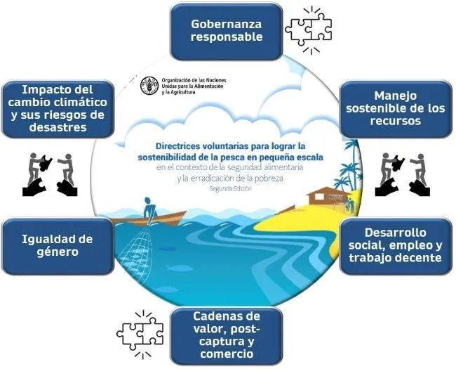 GOBERNABILIDAD EN LAS PESQUERÍAS MARINAS DE PEQUEÑA ESCALA DE VENEZUELA EN EL CONTEXTO REGIONAL - Issuu GOBERNABILIDAD EN LAS PESQUERÍAS MARINAS DE PEQUEÑA ESCALA DE VENEZUELA EN EL CONTEXTO REGIONAL - Issuu