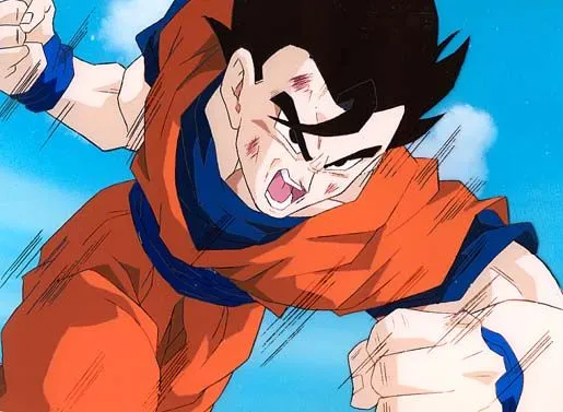 Son Gohan Son Gohan