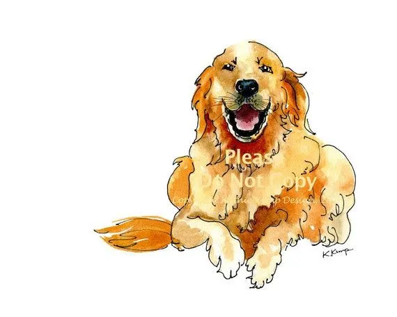 Golden Retriever Drawing Pen & Ink Watercolor Gift por WildFernFarm