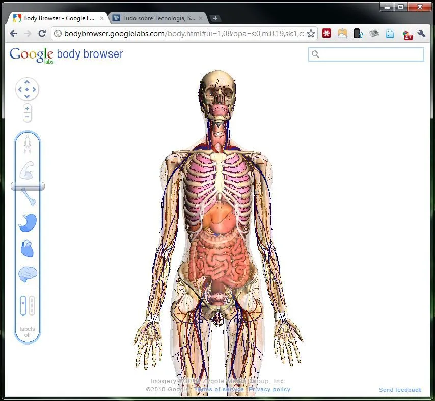 Google Body Browser – O Atlas do Corpo Humano… | Pplware Google Body Browser – O Atlas do Corpo Humano… | Pplware