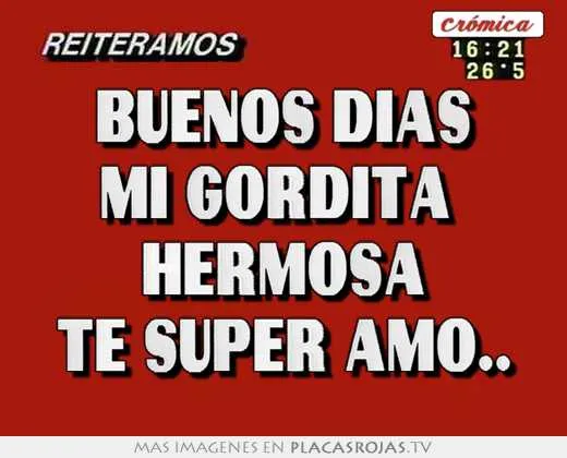 Buenos dias mi gordita hermosa te super amo.. - Placas Rojas TV Buenos dias mi gordita hermosa te super amo.. - Placas Rojas TV