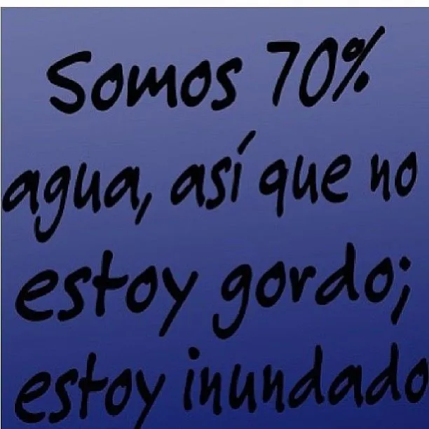 No estoy gordo... | Imagenes y frases graciosas | Pinterest
