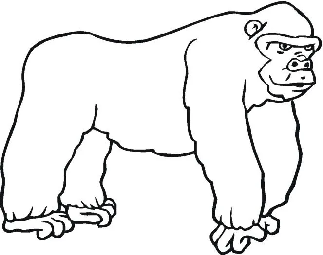 gorilas-para-colorear.jpg