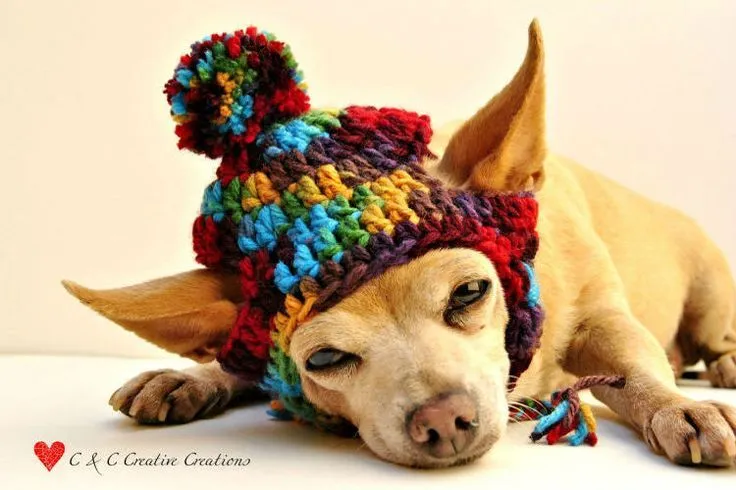 Gorros para mascotas | Mascota con tejidos y juguetes | Pinterest ... Gorros para mascotas | Mascota con tejidos y juguetes | Pinterest ...
