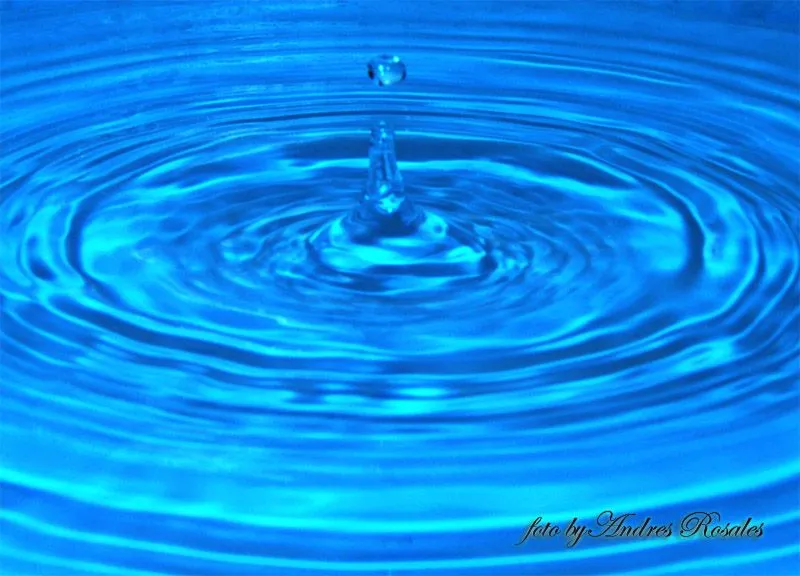 Gotas de agua | andrésfoto