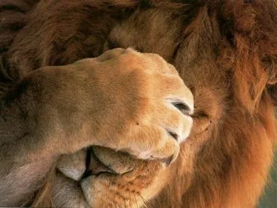 Luis Sabbi: LA CREACIÓN MENTAL Y LA CREACIÓN FÍSICA (David Kethe)