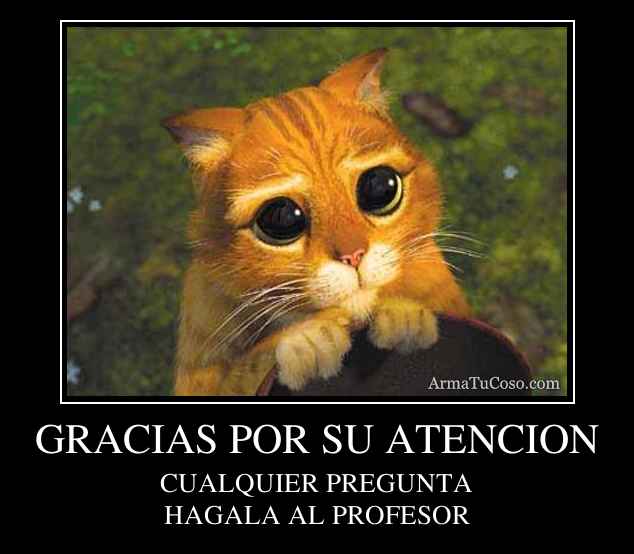 GRACIAS POR SU ATENCION
