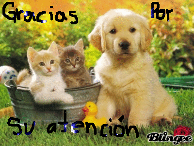 GRACIAS POR SU ATENCION Fotografía #127023437 | Blingee. GRACIAS POR SU ATENCION Fotografía #127023437 | Blingee.