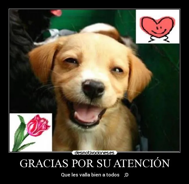 GRACIAS POR SU ATENCIÓN - desmotivaciones.