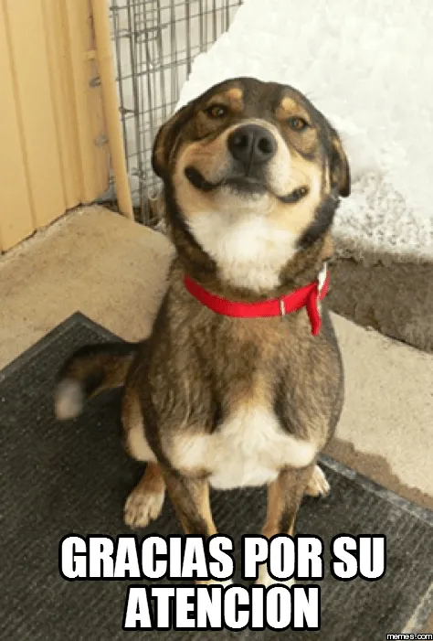 gracias por su atencion | Memes.com