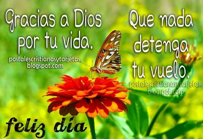 Gracias a Dios por tu vida. Feliz Día | Postales Cristianas y Tarjetas