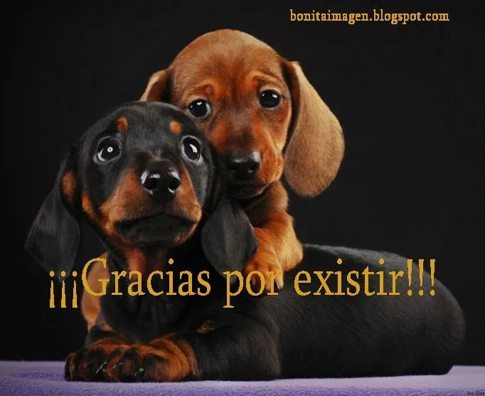 Gracias por Existir - Imágenes Bonitas