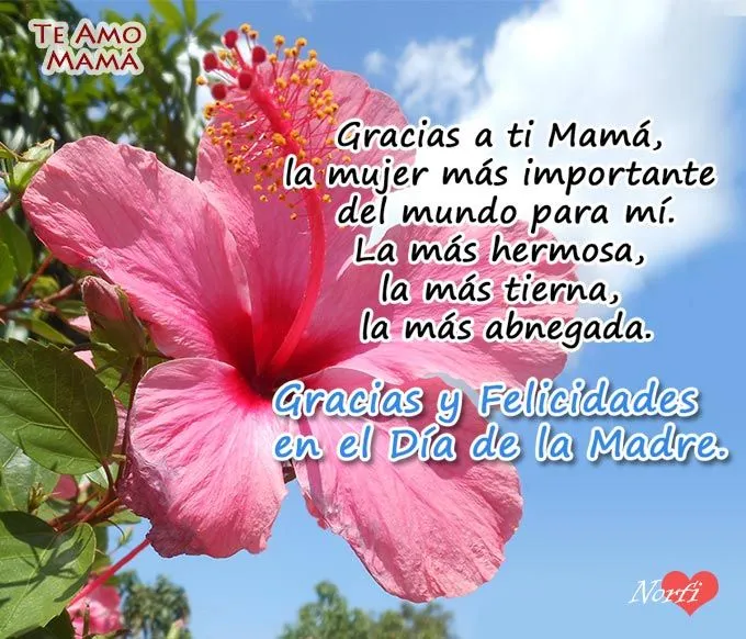 Gracias Mamá. Fotos para felicitar y dedicar el Día de la Madre