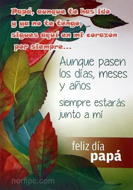 Gracias Papá, fotos con versos para dedicar el Día del Padre Gracias Papá, fotos con versos para dedicar el Día del Padre