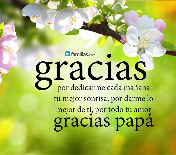 Gracias por todo papá | para los padres | Pinterest Gracias por todo papá | para los padres | Pinterest