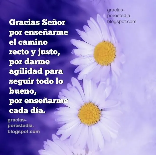 Gracias Señor por enseñarme el camino recto. Bella Oración ... Gracias Señor por enseñarme el camino recto. Bella Oración ...