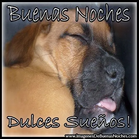 Graciosas