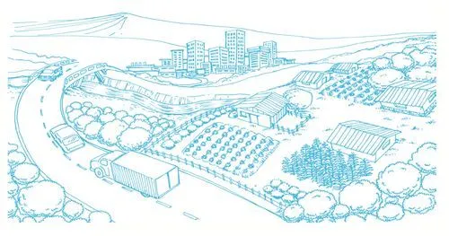 Primer Grado - Formación Ciudadana - CNB