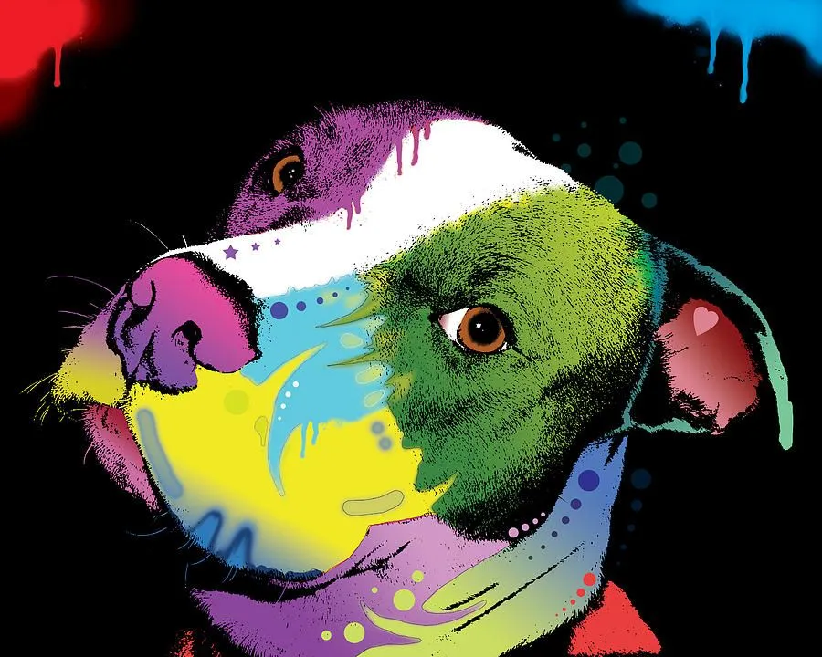 Graffiti Art for Sale