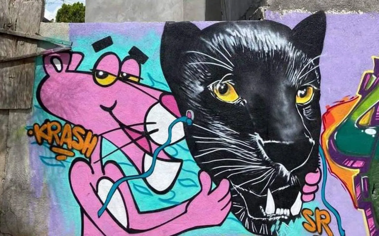 El graffiti en San Luis Potosí es un arte no valorado y considerado  antiestético • Cobertura 360