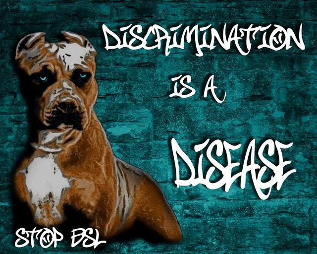 American Pitbull Terrier Dog Portrait, Graffiti on Brick Wall ... American Pitbull Terrier Dog Portrait, Graffiti on Brick Wall ...