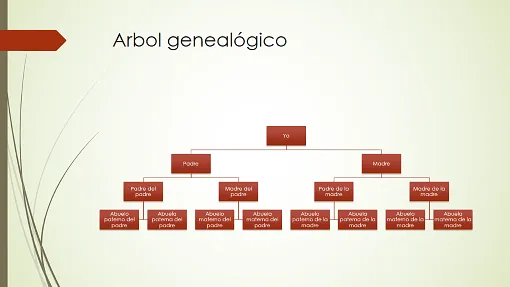 Gráfico de árbol genealógico (vertical, verde, rojo, panorámico ...