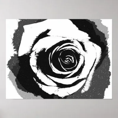 Este gráfico blanco y negro rígido de la rosa (una fotografía ... Este gráfico blanco y negro rígido de la rosa (una fotografía ...
