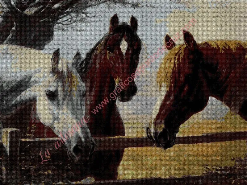 Gráfico a punto de cruz - Caballos en la cerca 54 x 42 cm Gráfico a punto de cruz - Caballos en la cerca 54 x 42 cm