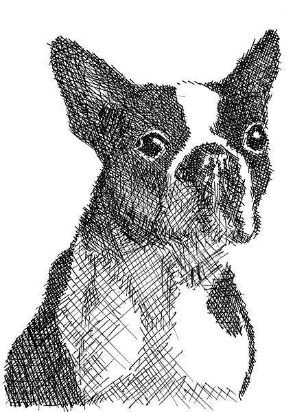 El tercer dibujo es un perro de Rsperberg , ¿te animas a copiarle ... El tercer dibujo es un perro de Rsperberg , ¿te animas a copiarle ...