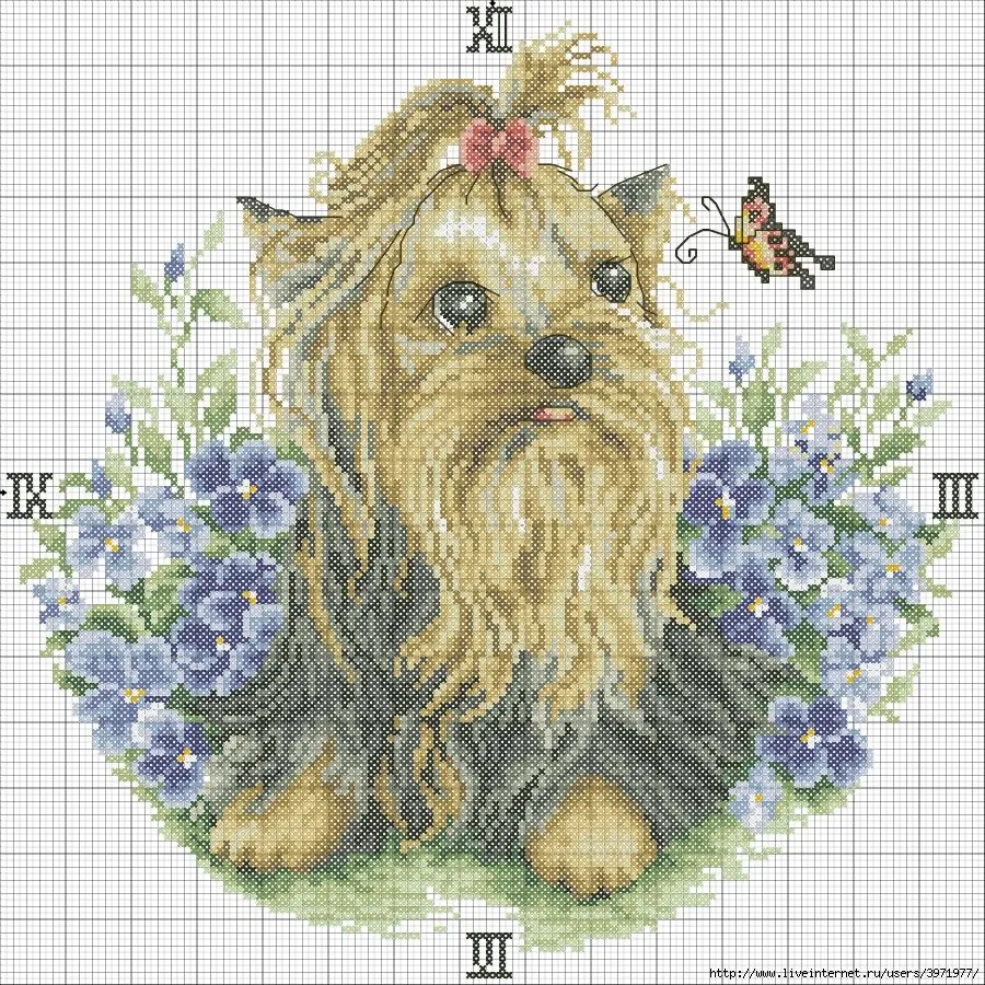 los gráficos del gato: RELOJ YORKSHIRE