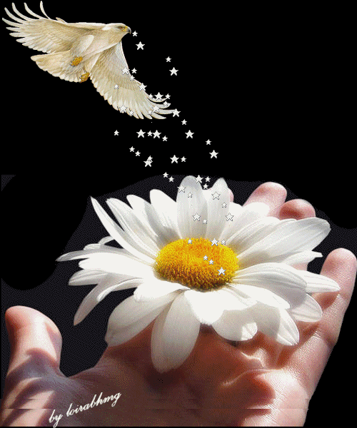 Gráficos e Imagem de Flores-e-Rosas para o Orkut Gráficos e Imagem de Flores-e-Rosas para o Orkut
