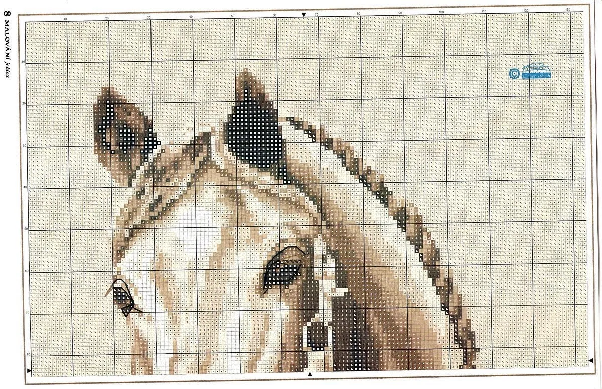 GRAFICOS PUNTO DE CRUZ GRATIS : CABALLOS(36) GRAFICOS PUNTO DE CRUZ GRATIS : CABALLOS(36)