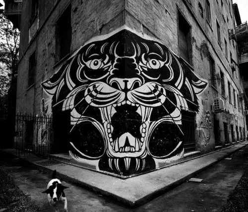 grafiti-2.jpg