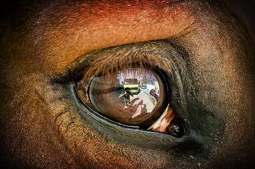 Granainos | Ojo en Granada