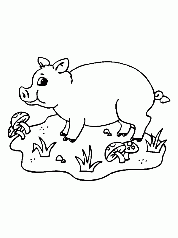 Granja para colorear y divertirse | Colorear imágenes Granja para colorear y divertirse | Colorear imágenes