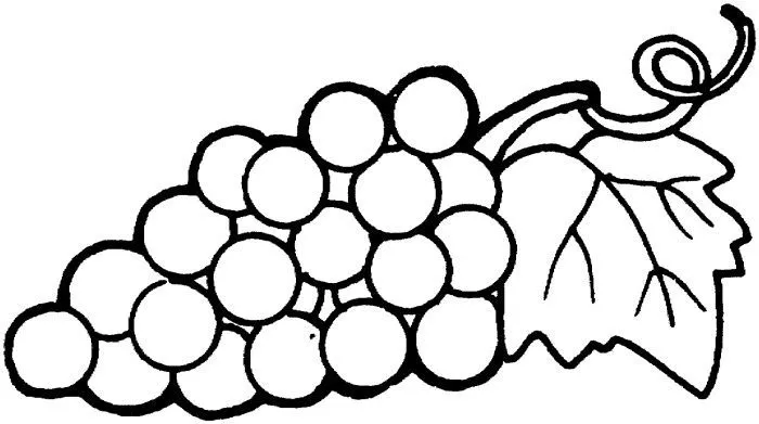 Grape 15, szőlő kifestő | Coloring: Simple coloring / Templates ... Grape 15, szőlő kifestő | Coloring: Simple coloring / Templates ...