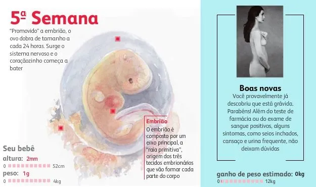 Gravidez | De Mãe para Mãe
