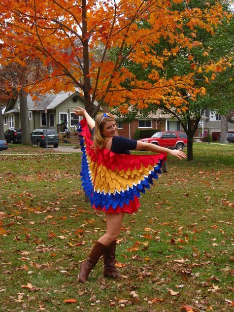 Great idea for a parrot or change the colors for another great ... Great idea for a parrot or change the colors for another great ...
