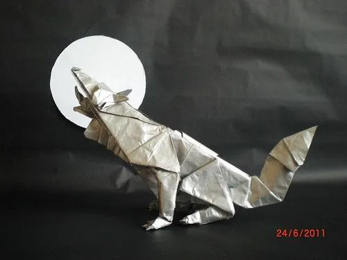 Grey wolf (lobo gris) | Flickr - Photo Sharing!