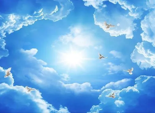 Solo grifo Wallpaper cielo azul telón de fondo y palomas fondo de ... Solo grifo Wallpaper cielo azul telón de fondo y palomas fondo de ...