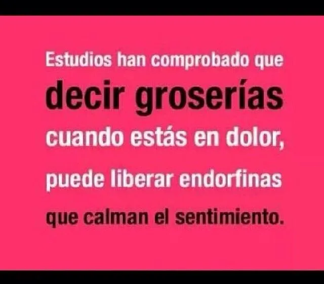 Groserias | Frases Groseras | Pinterest