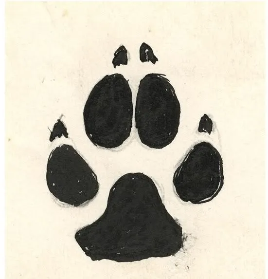 Group of: huella del lobo - Buscar con Google | We Heart It Group of: huella del lobo - Buscar con Google | We Heart It
