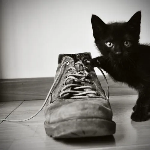 Group of: Resultados de la Búsqueda de imágenes de Google de http ...